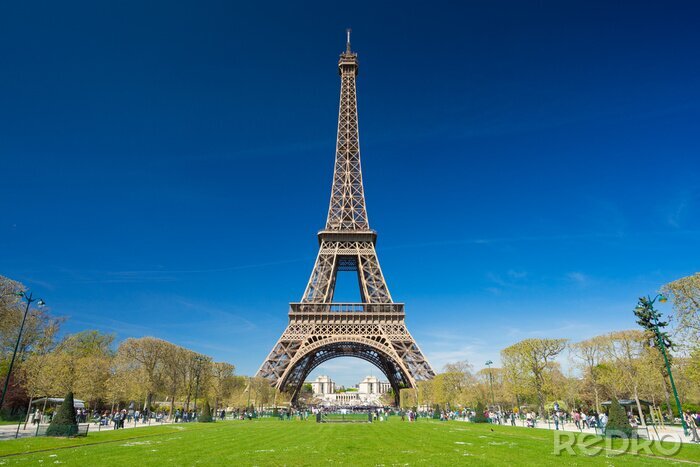Fototapete Paris im Frühling und Eiffelturm