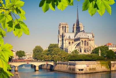Fototapete Paris Natur und Kathedrale Notre-Dame