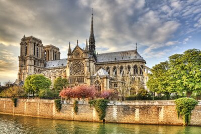 Fototapete Paris und Kathedrale Notre-Dame