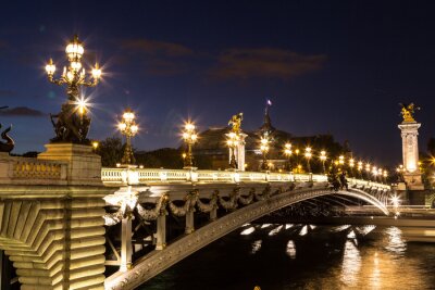 Paris und Pont Alexandre III
