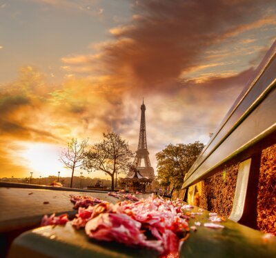 Fototapete Pariser Bank vor Eiffelturm in Paris