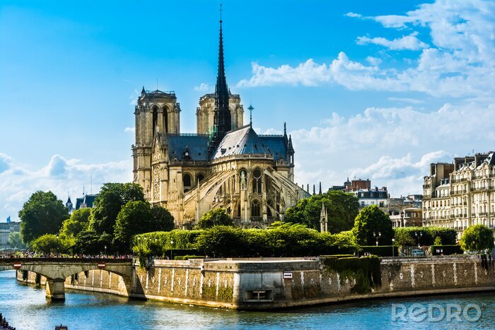 Fototapete Pariser Kathedrale am sonnigen Tag