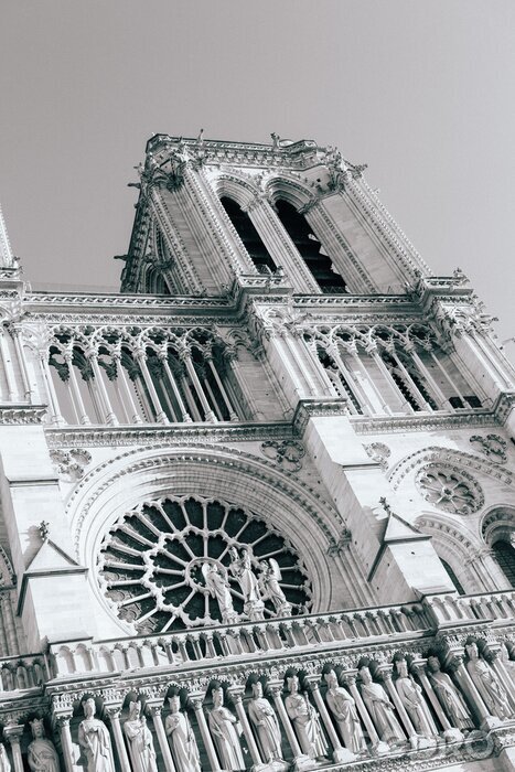 Fototapete Pariser Kathedrale Notre-Dame