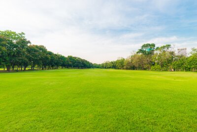 Fototapete Park mit Gras