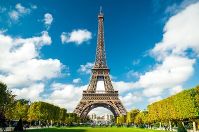 Fototapete Park vor Eiffelturm in Paris