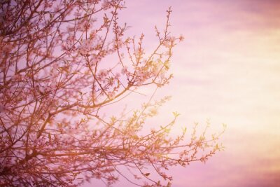 Pastell-Fotografie mit Baum