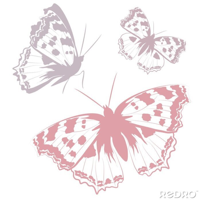 Fototapete Pastell-Schmetterlinge
