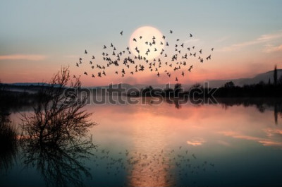 Fototapete Pastelllandschaft mit Vögeln