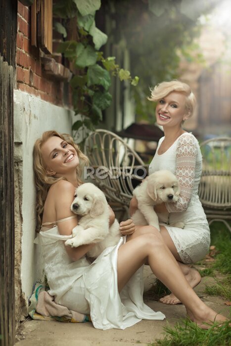 Fototapete Perfekte blonde Schönheiten halten junge Hunde