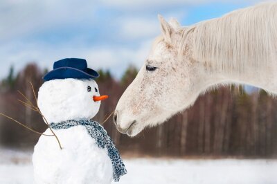 Pferd mit einem Schneemann im Winter
