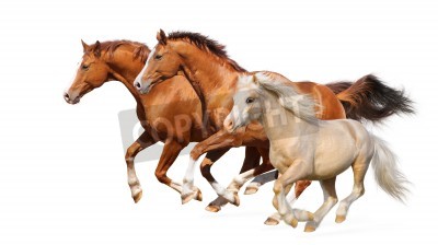Fototapete Pferde 3d auf der flucht