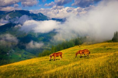 Fototapete Pferde auf der Wiese an den Bergen