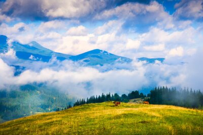 Fototapete Pferde Berge und Wolken