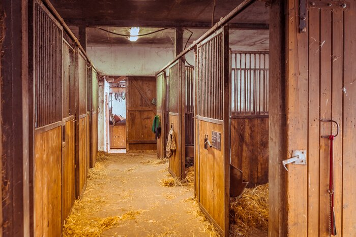 Fototapete Pferdekoppel in holz