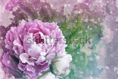 Fototapete Pfingstrose an alter Wand