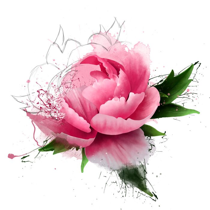 Fototapete Pfingstrose mit grafischen Elementen