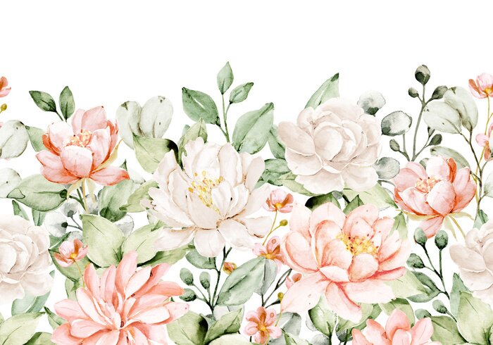 Fototapete Pfingstrosen in Weiß und Aprikose