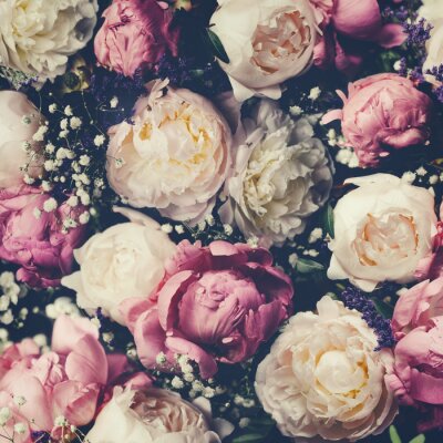 Fototapete Pfingstrosen mit Schleierkraut auf dunklem Hintergrund