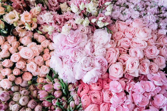 Fototapete Pfingstrosen Tulpen und Rosen