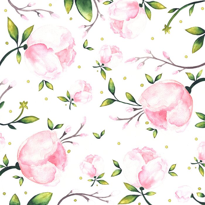 Fototapete Pfingstrosen und kleine Blätter