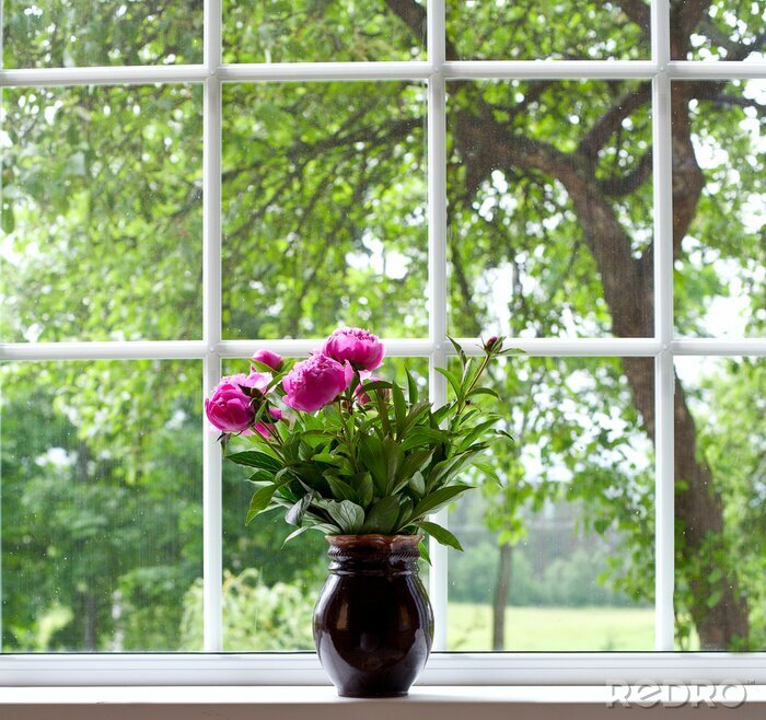 Fototapete Pfingstrosen vor fenster