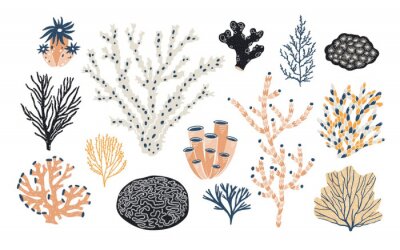 Fototapete Pflanzen aus Korallenriff