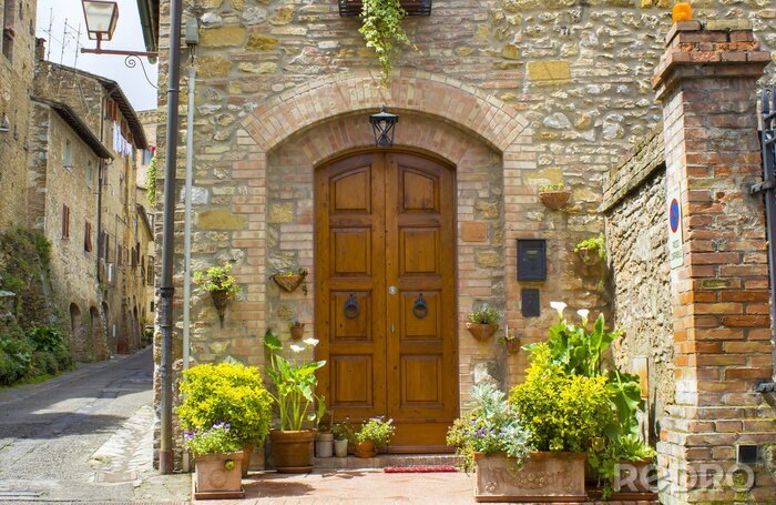 Fototapete Pflanzen bei Holztüren