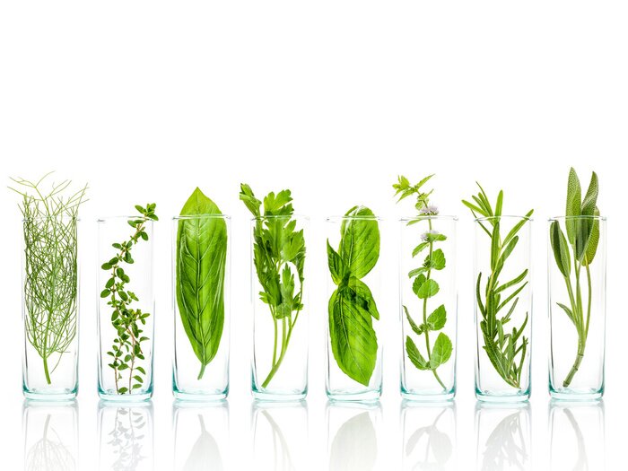 Fototapete Pflanzen grün in Vasen