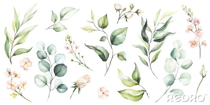 Fototapete Pflanzen in Aquarell gemalt
