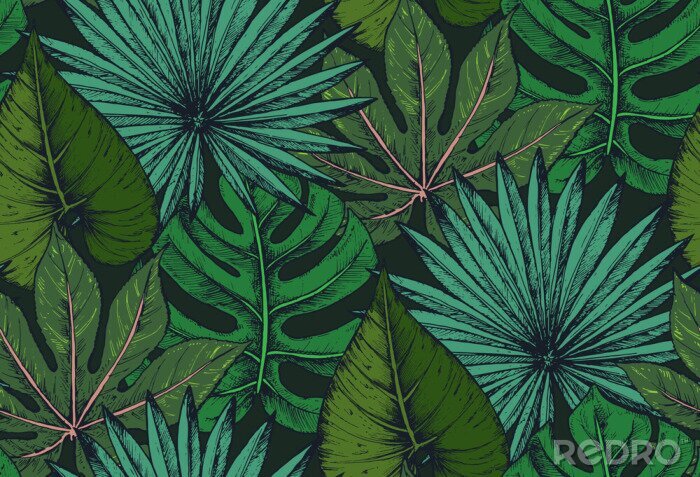 Fototapete Pflanzen natur im Comic-Stil