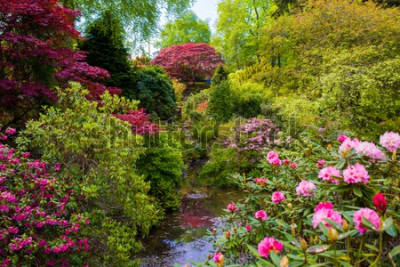Fototapete Pflanzen und Blumen im botanischen Garten