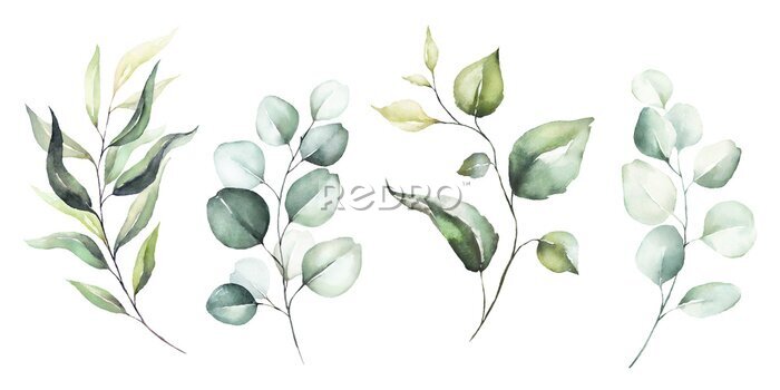 Fototapete Pflanzenzweige mit grünen Blättern auf weißem Hintergrund