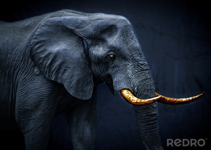 Fototapete Phantasie-Elefantenbild