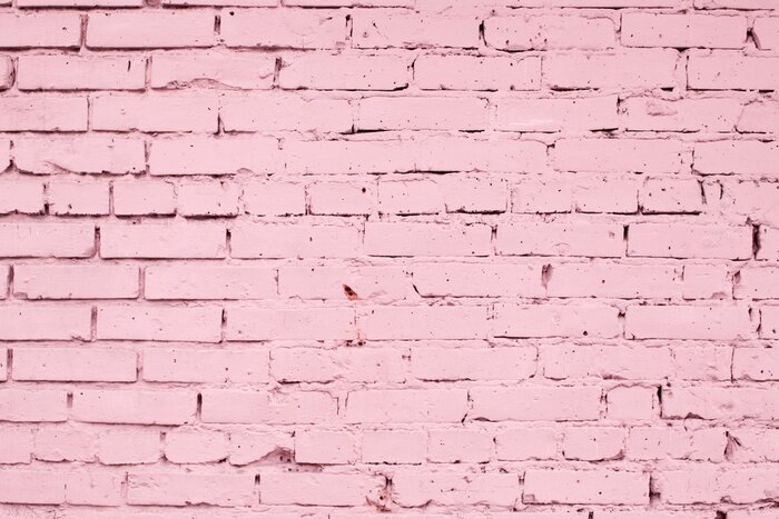 Fototapete Pinke Mauer
