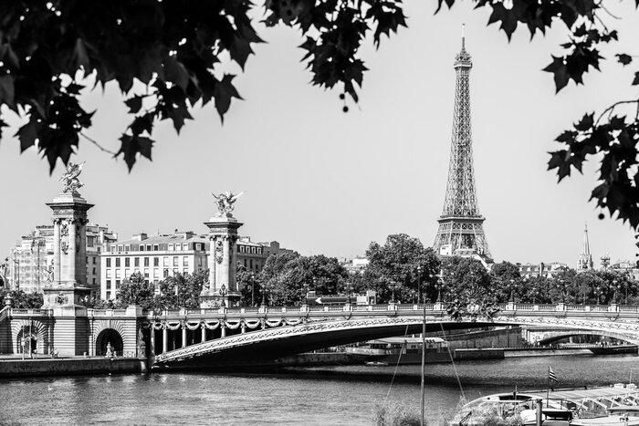 Fototapete Pont Alexandre III Bridge with Eiffel Tower. Paris, France