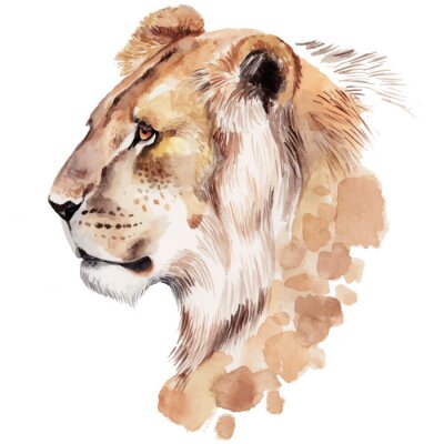 Fototapete Porträt eines Löwen mit Aquarellfarben gemalt auf weißem Hintergrund