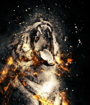 Fototapete Porträt eines tigers in flammen