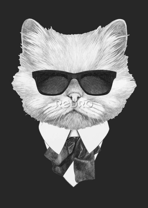 Fototapete Portrait of Persian Cat in suit. Hand-drawn illustration. Vector isolated elements.	
