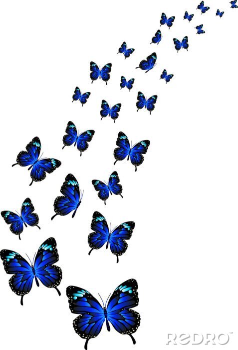 Fototapete Räumliche Illustration mit Schmetterlingen