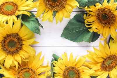 Fototapete Rahmen aus gelben Sonnenblumen