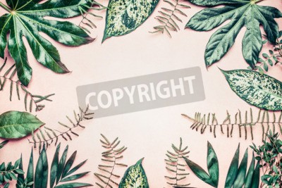 Fototapete Rahmen aus grünen Blättern