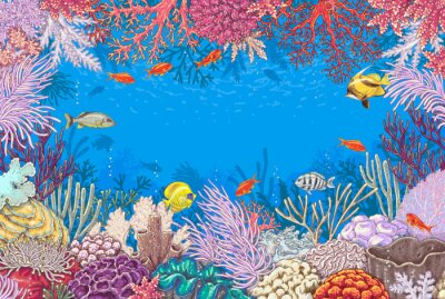 Rahmen aus Korallenriff im Ozean