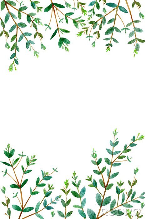 Fototapete Rahmen mit Eukalyptus branches.green floral border.postcard.watercolor Hand gezeichnet Illustration.