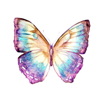 Fototapete Regenbogen-Schmetterling in Pastelltönen