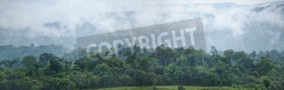 Fototapete Regenwald-panorama
