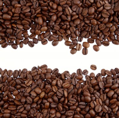 Reife Kaffeebohnen