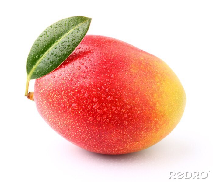 Fototapete Reife Mangofrucht