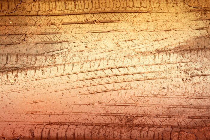 Fototapete Reifenspuren