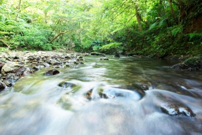 Fototapete Reissender Fluss im Wald
