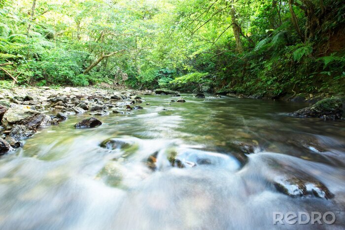Fototapete Reissender Fluss im Wald